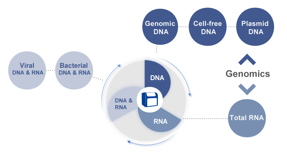 Applications of VaPura 32 automated nucleic acid extraction system for genomic DNA, cell-free DNA, plasmid DNA, total RNA, viral DNA/RNA and bacterial DNA/RNA.