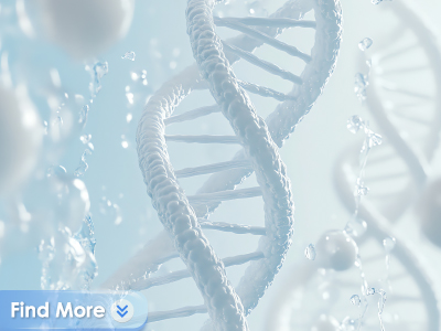 RNA Library Adapter     