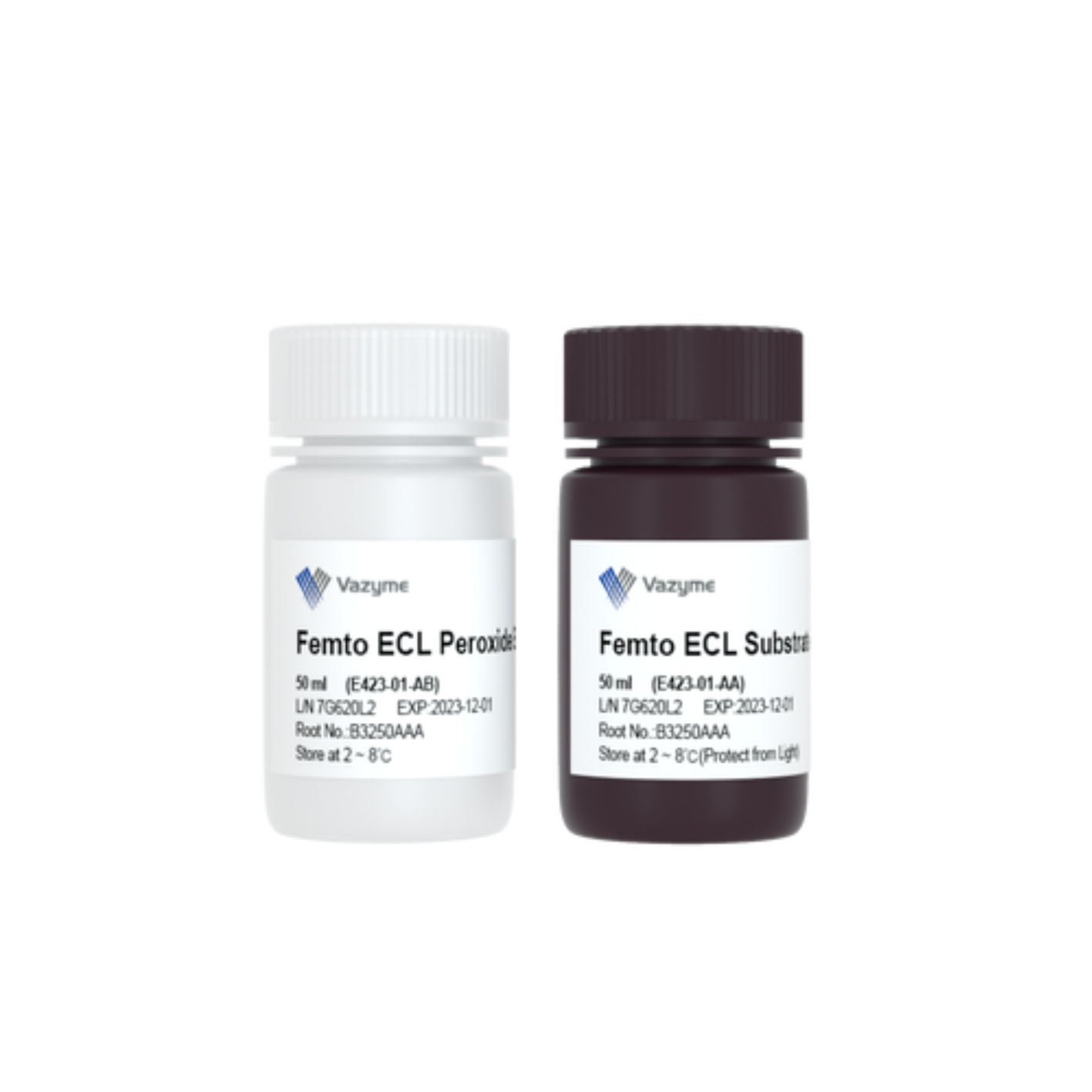 SuperFemto ECL Chemiluminescence Kit