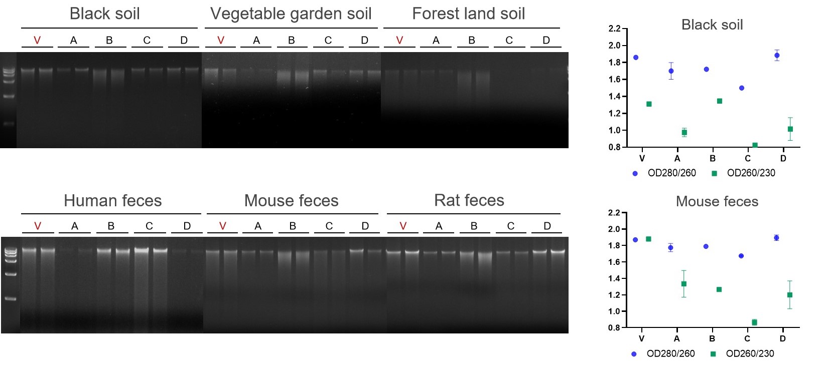 VAMNE Magnetic Stool/Soil DNA Extraction Kit/(Prepackaged)