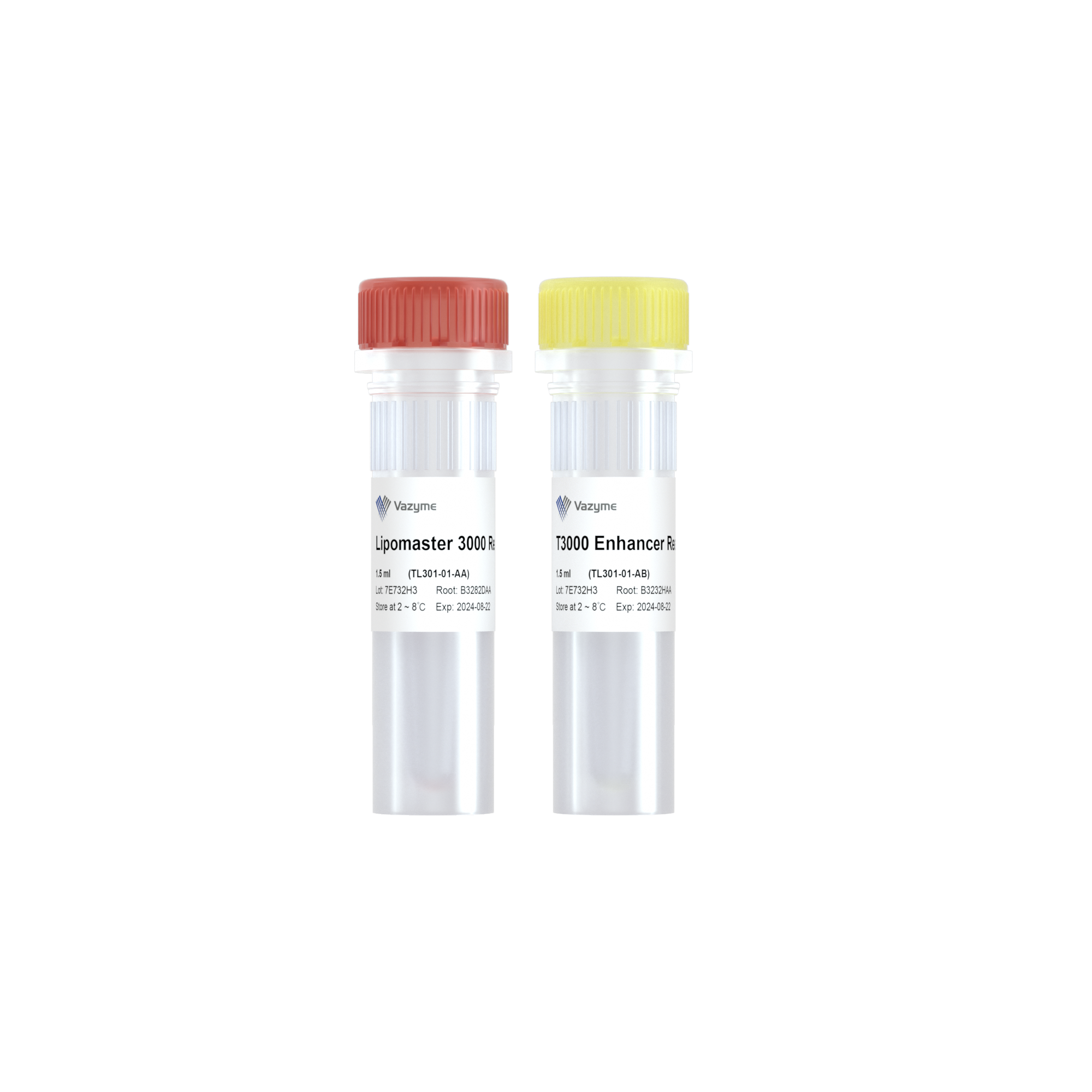 Lipomaster 3000 Transfection Reagent