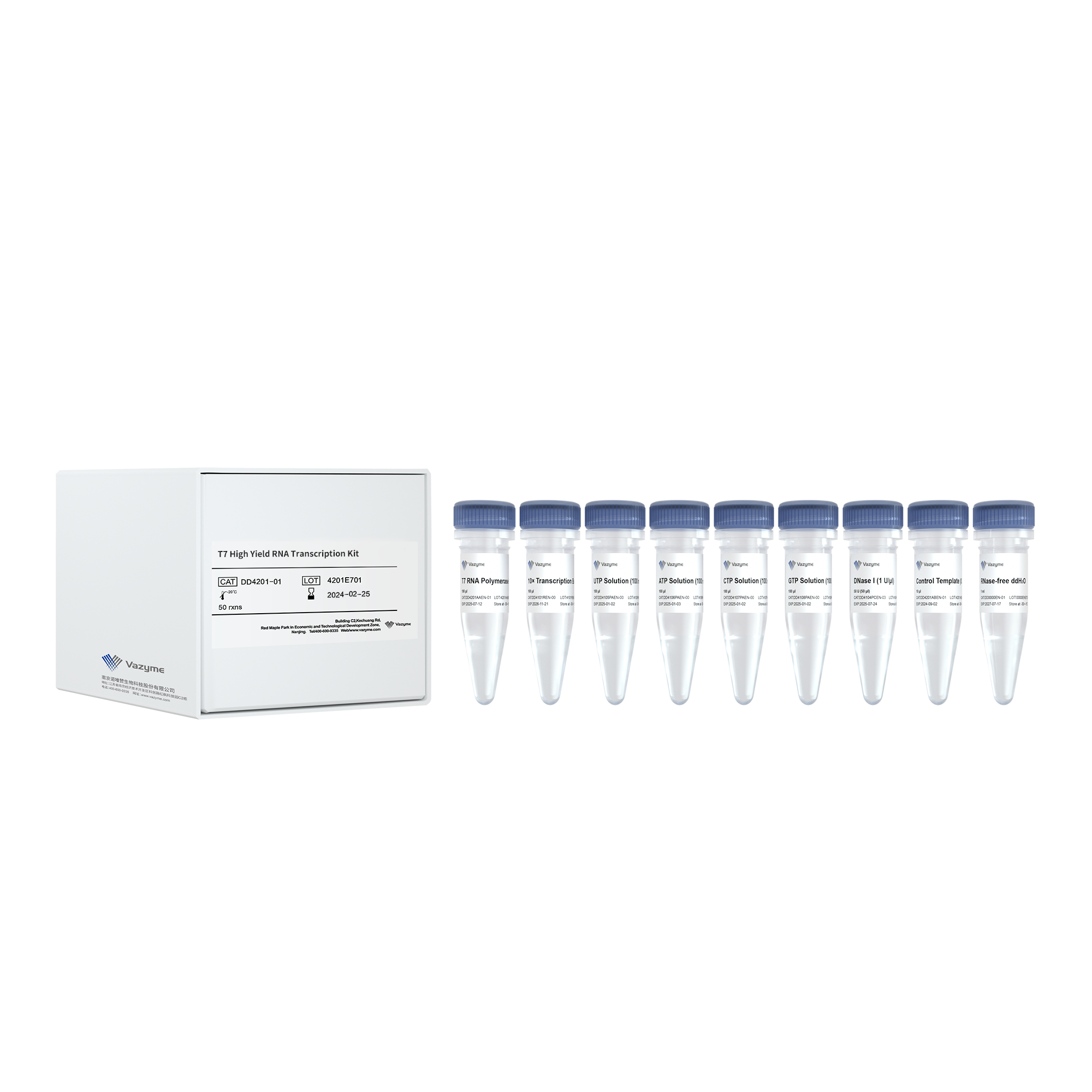T7 High Yield RNA Transcription Kit