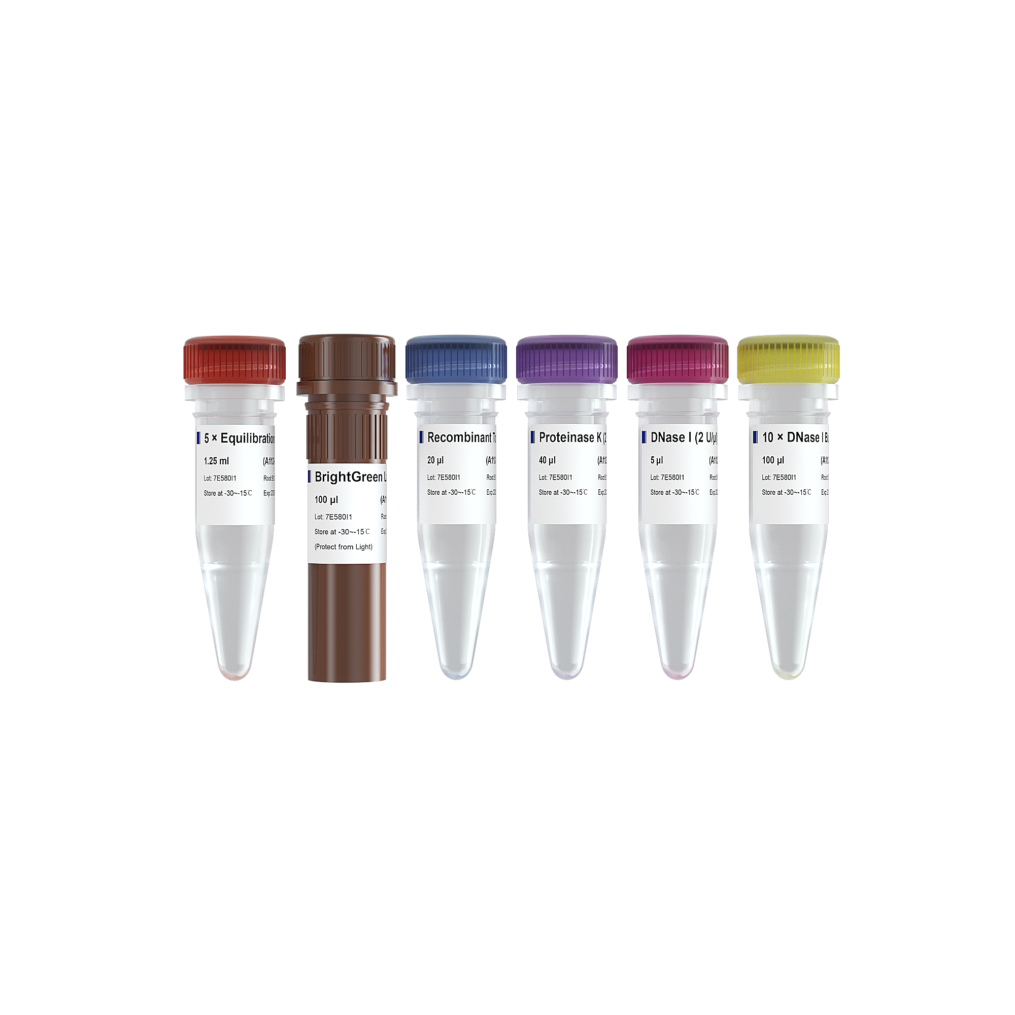 TUNEL BrightGreen Apoptosis Detection Kit