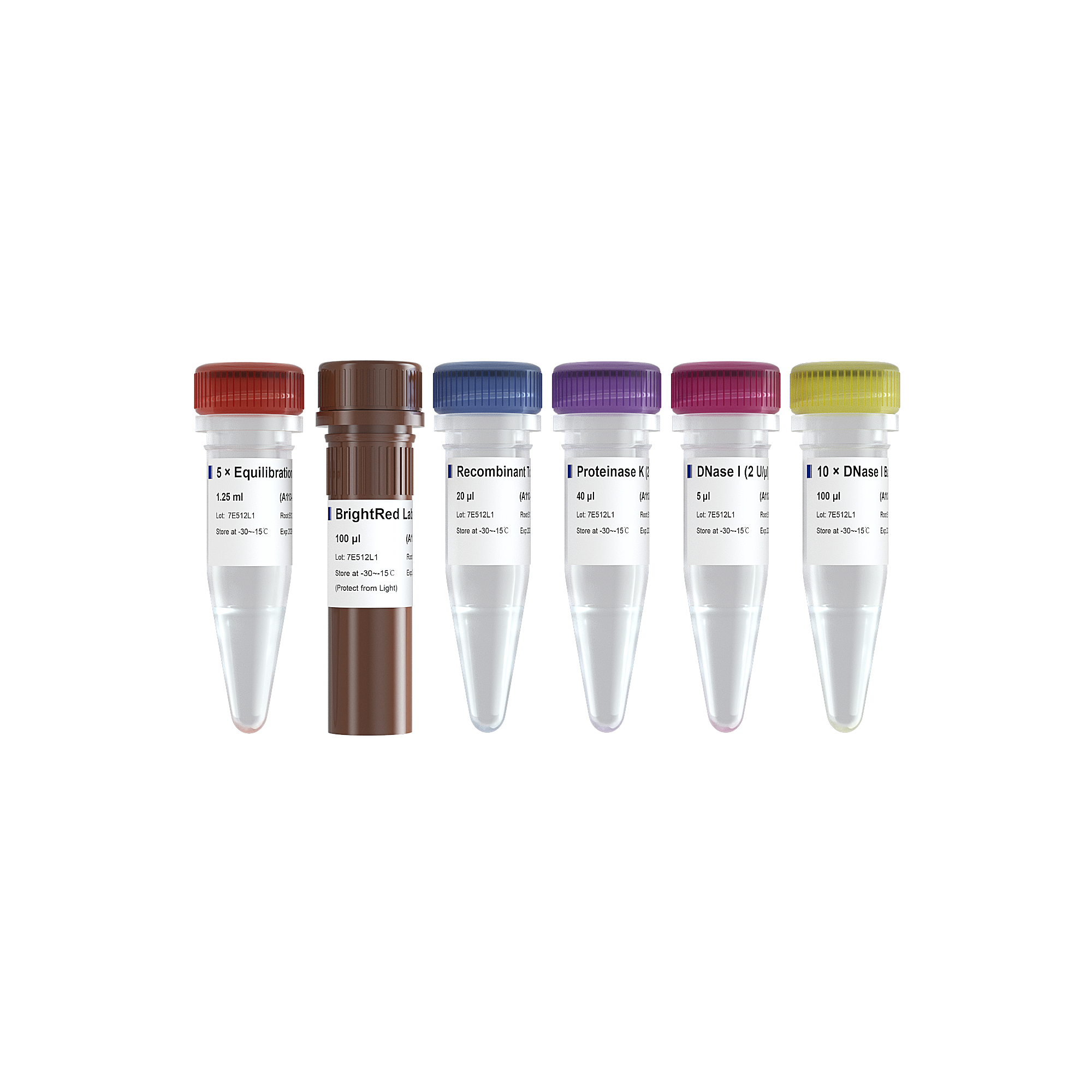 TUNEL BrightRed Apoptosis Detection Kit