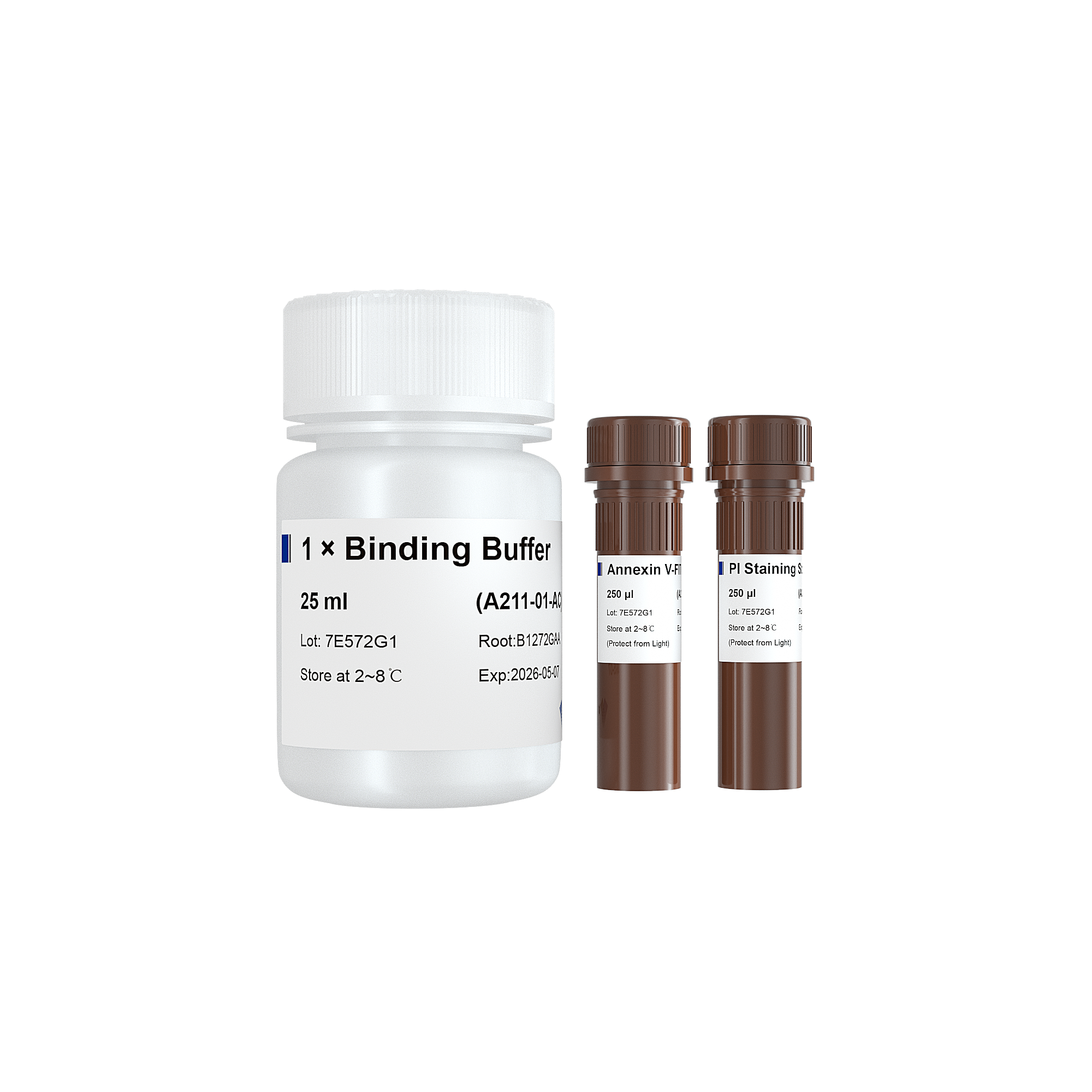 Annexin V-FITC/PI Apoptosis Detection Kit