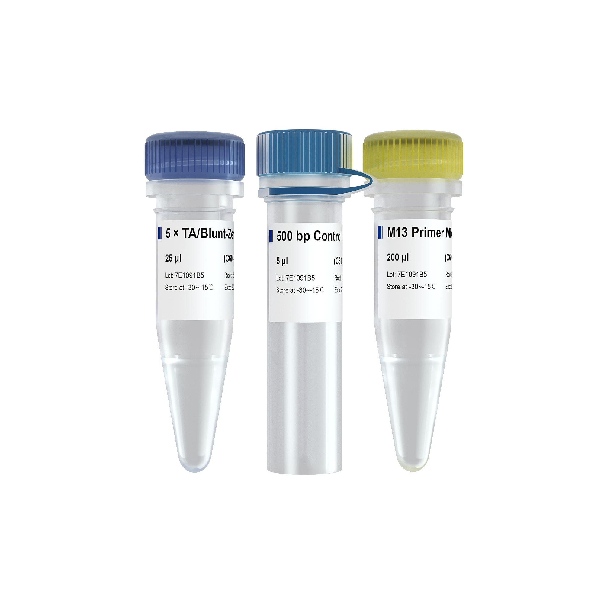 Vazyme-5 min TA/Blunt-Zero Cloning Kit