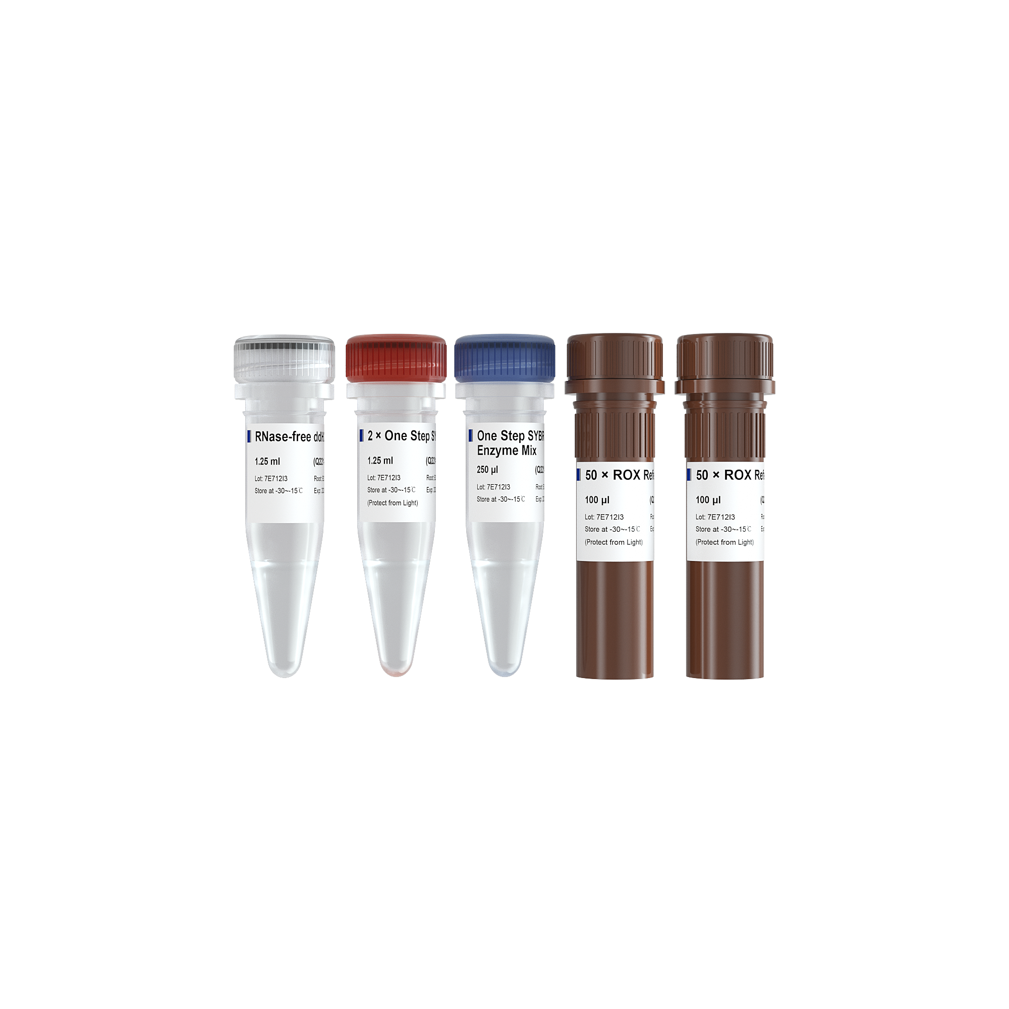 Vazyme-HiScript II One Step qRT-PCR SYBR Green Kit