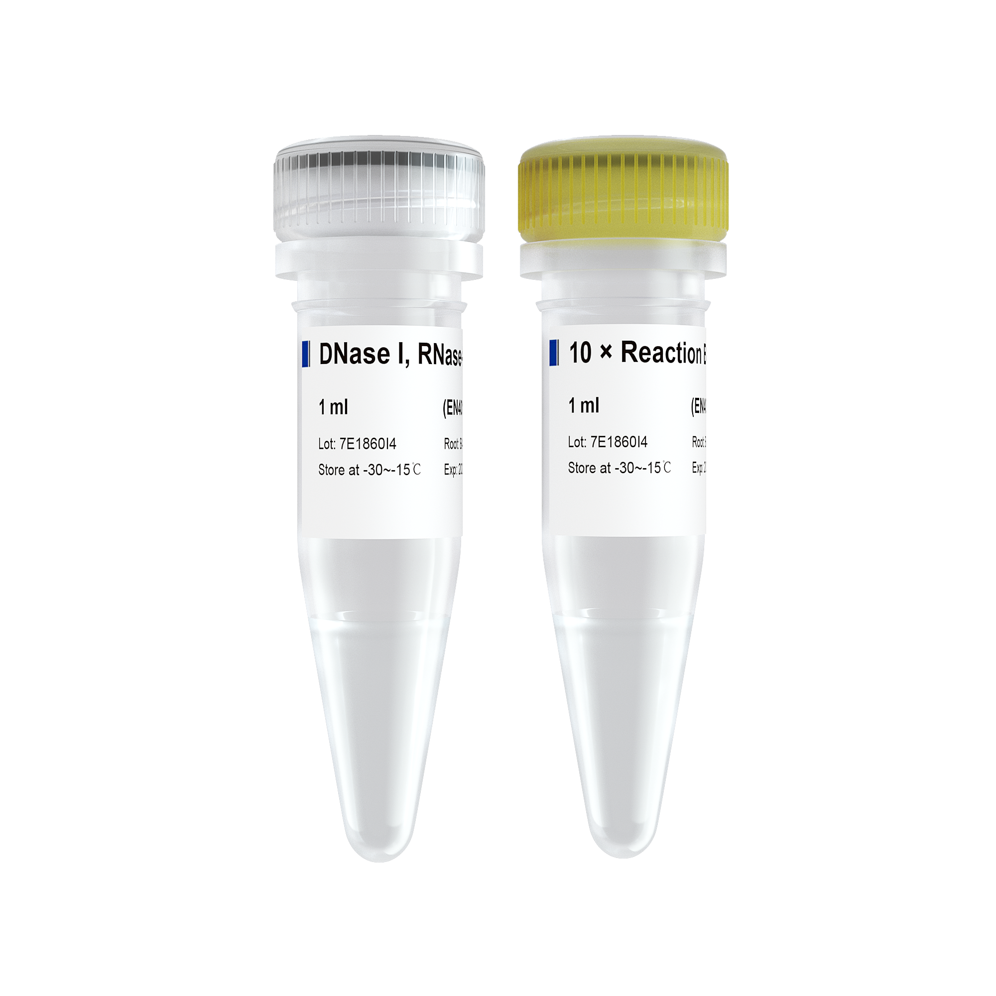 DNase I, RNase-free (1 U/渭l)