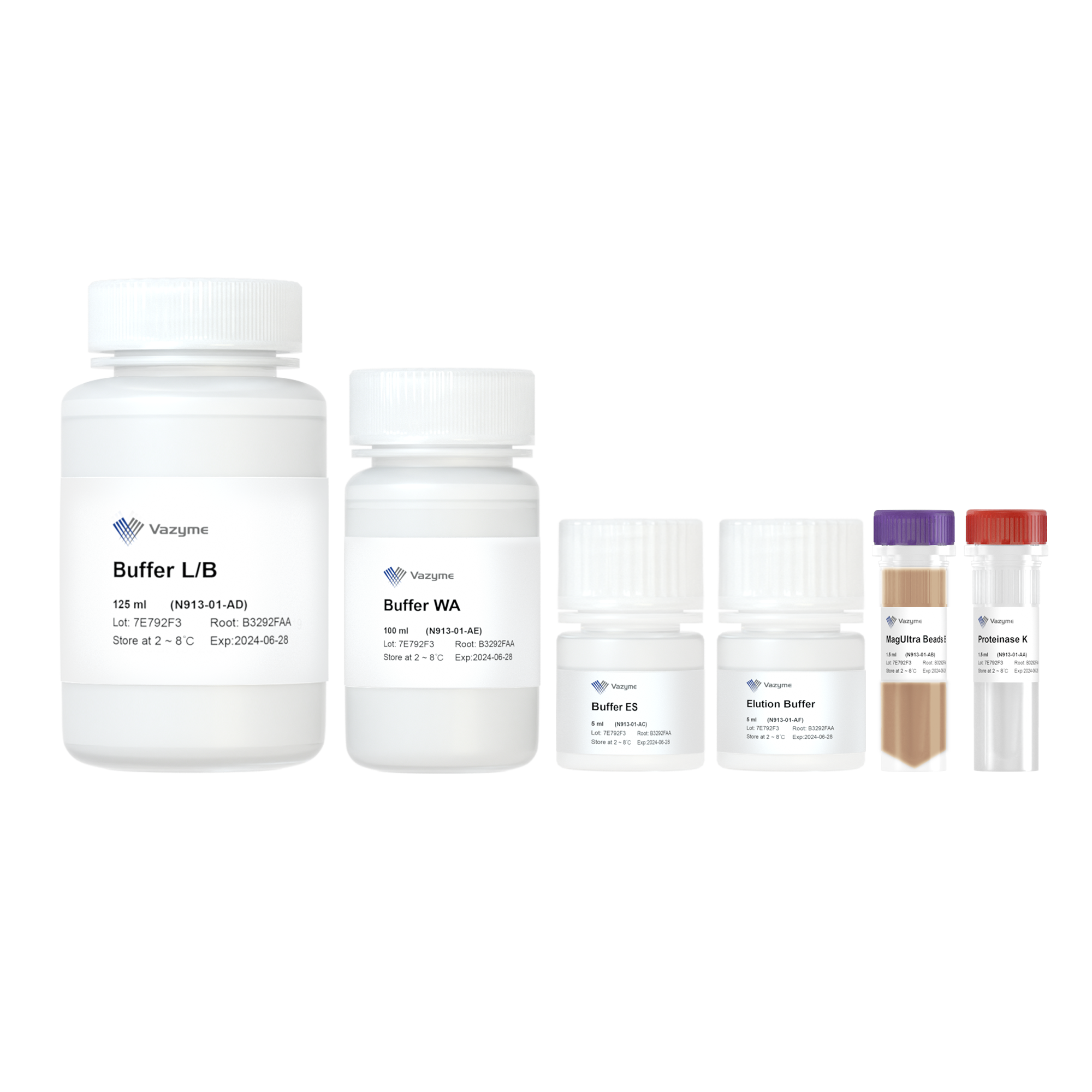 VAMNE MagUltra Circulating Cell-free DNA Isolation Kit