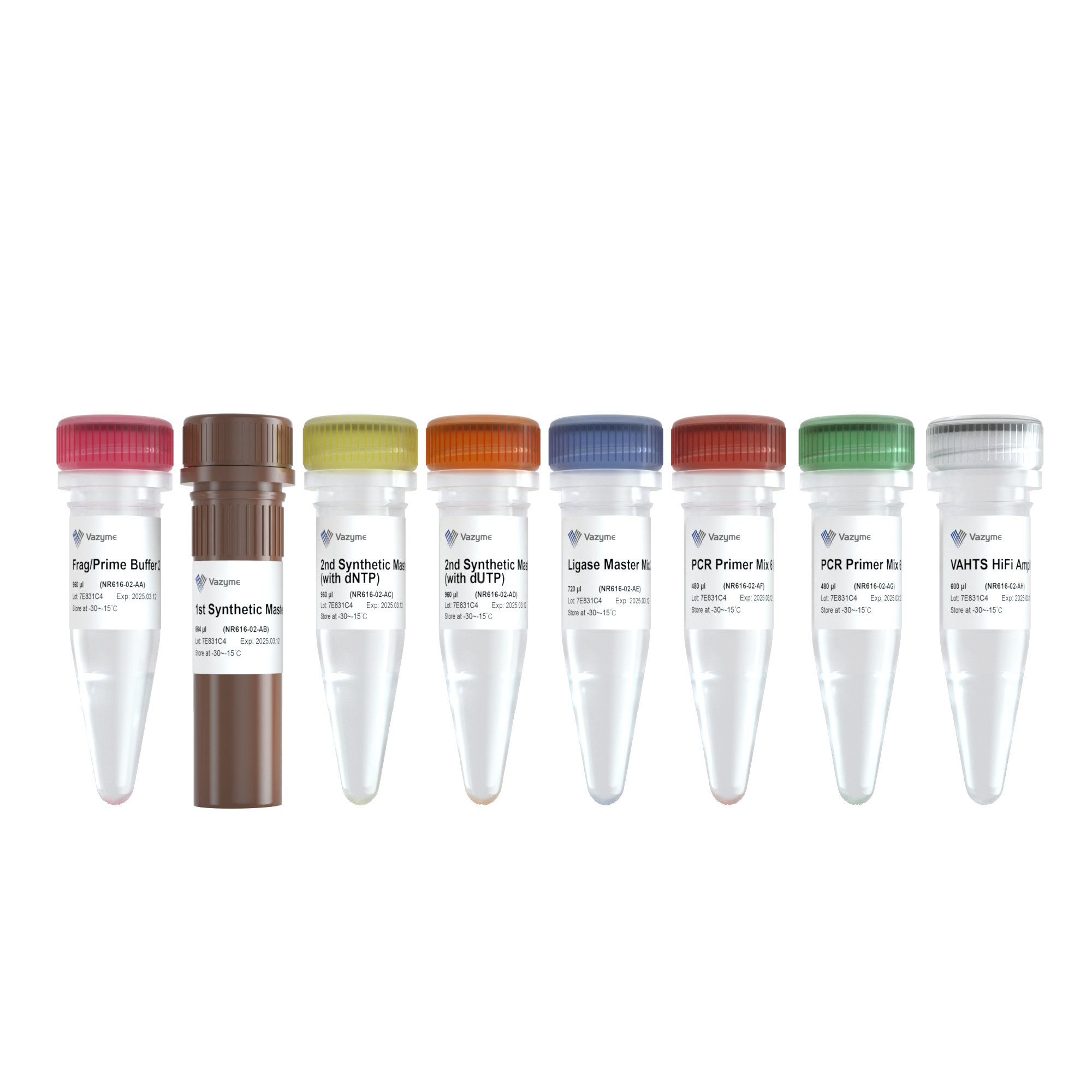 VAHTS Universal V10 RNA-seq Library Prep Kit (Premixed Version)