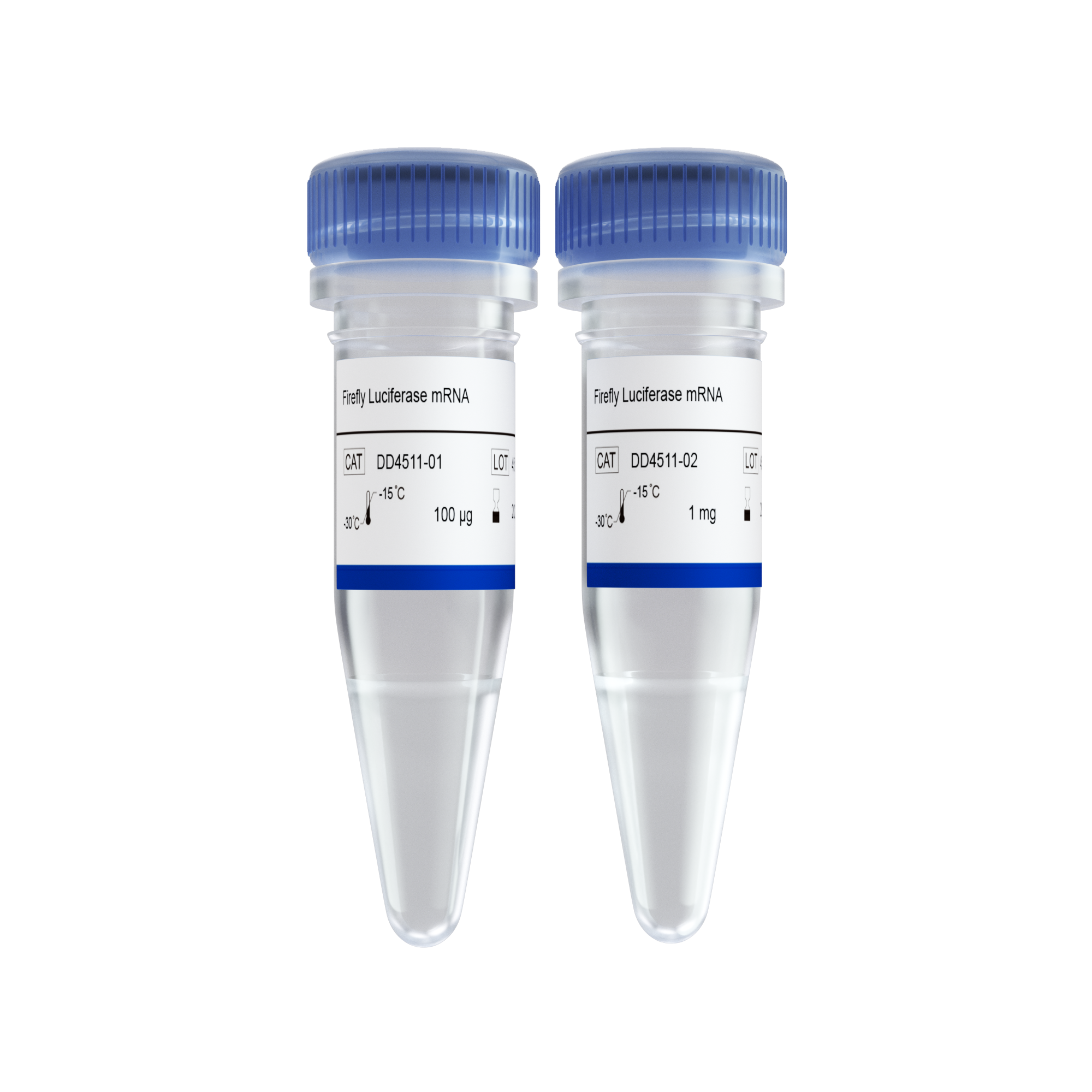 Firefly Luciferase mRNA