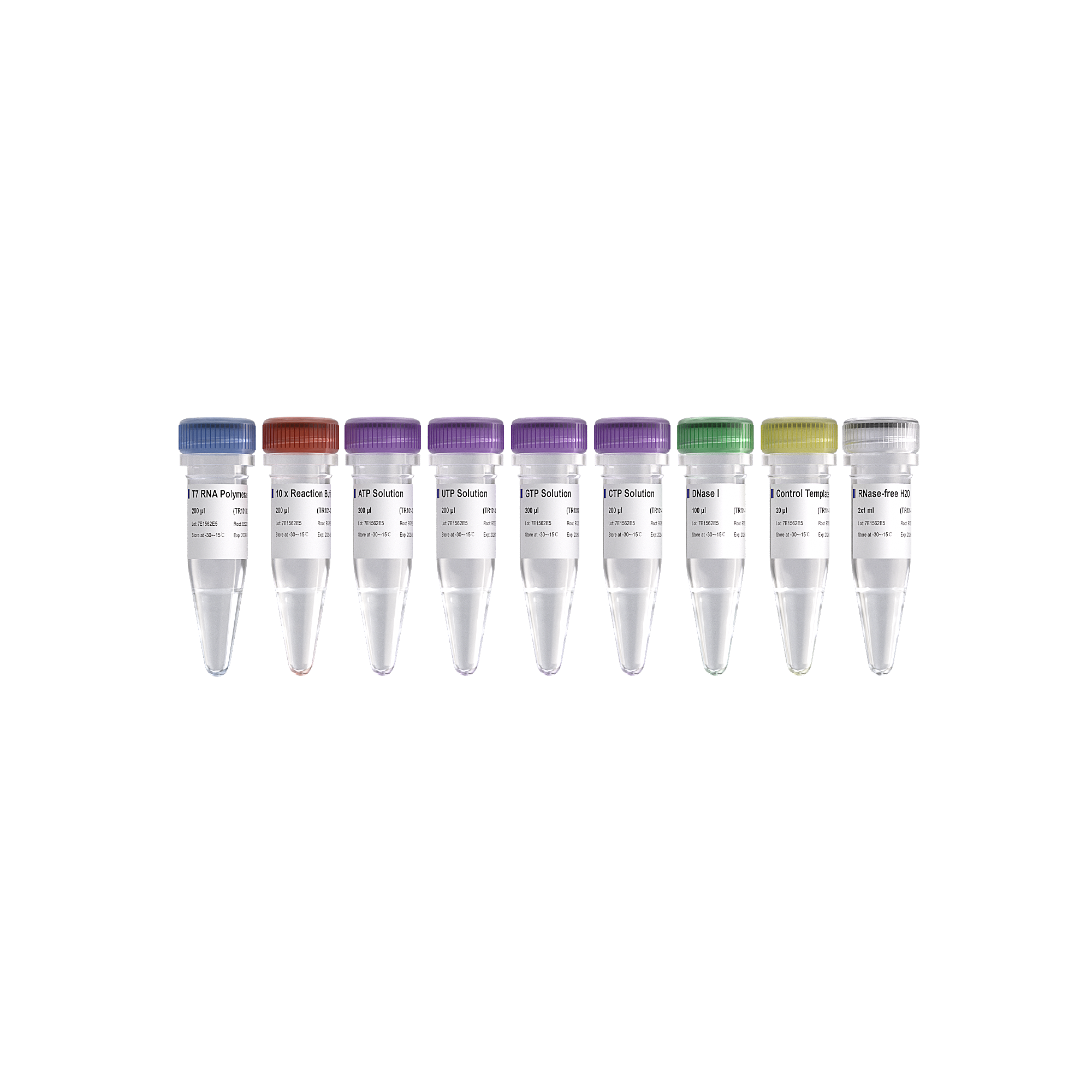 T7 High Yield RNA Transcription Kit