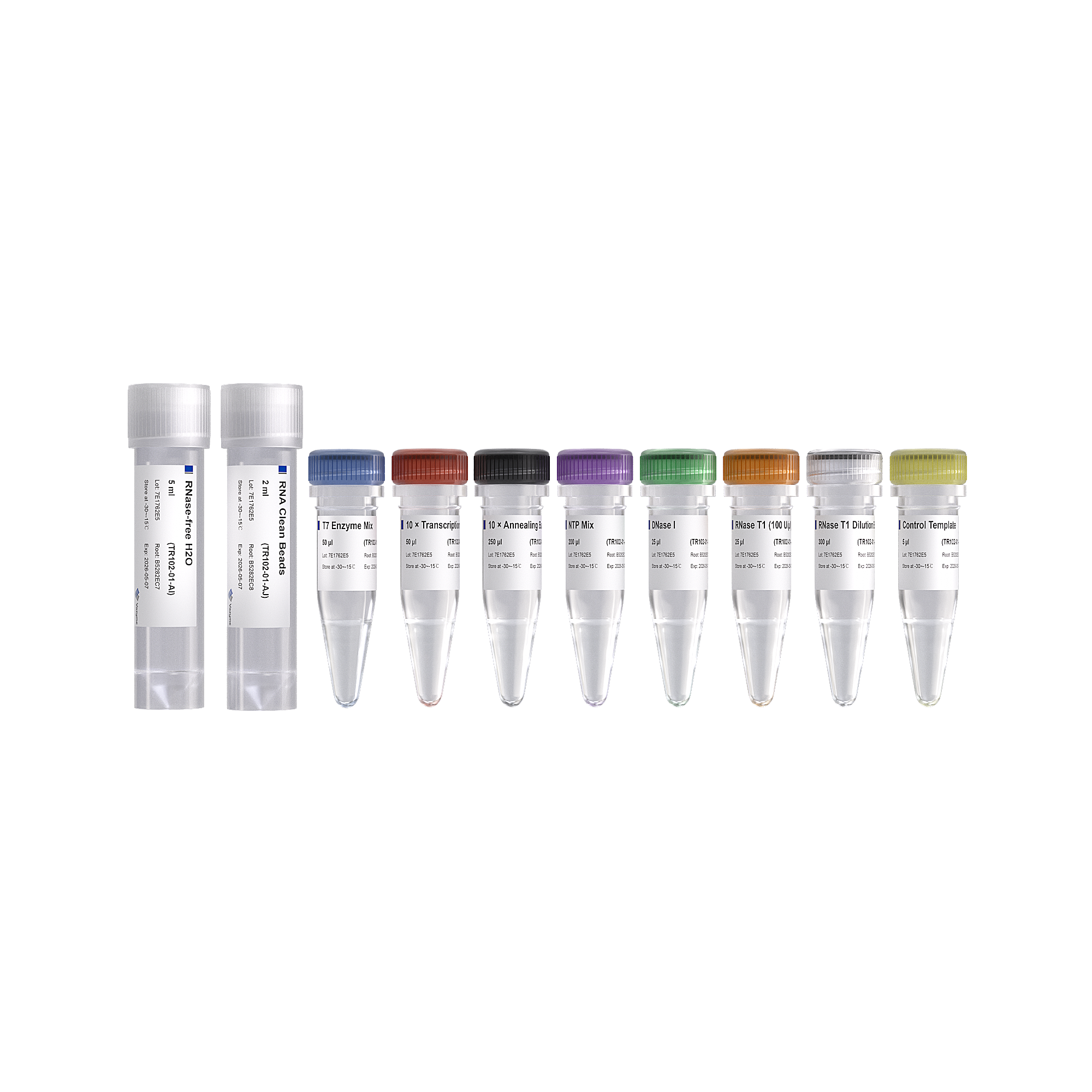 T7 RNAi Transcription Kit