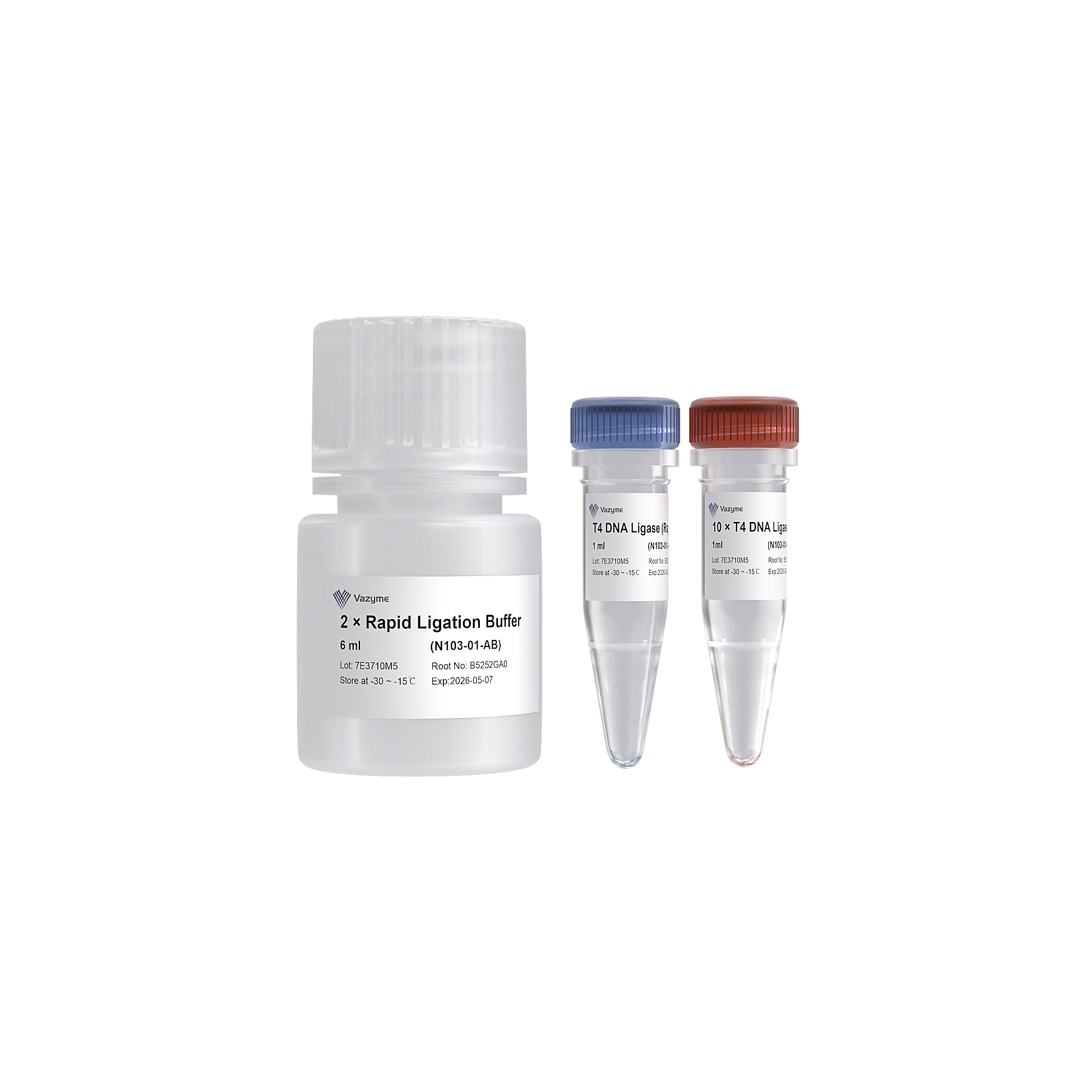 T4 DNA Ligase