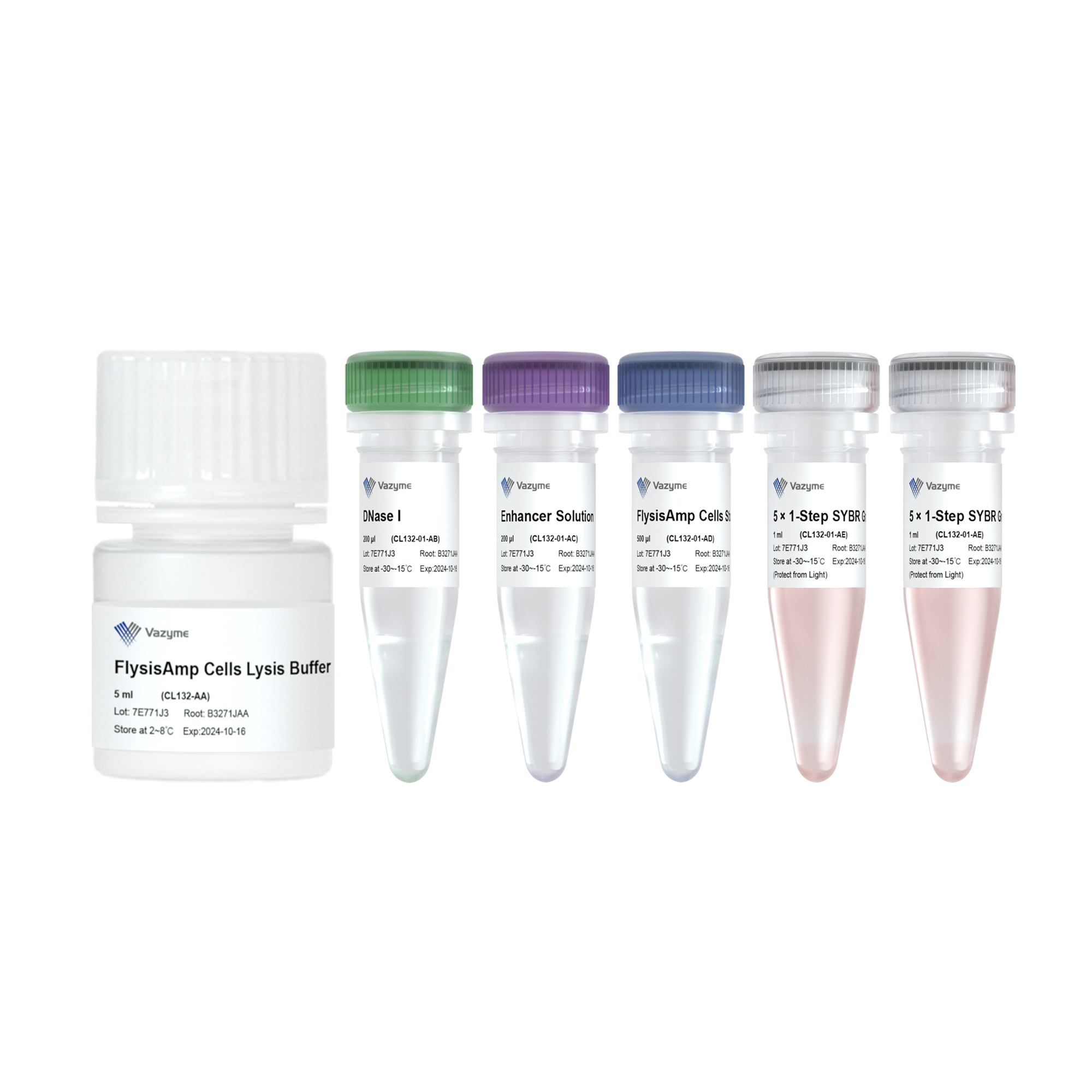 FlysisAmp Cells-to-CT 1-Step SYBR Green Kit