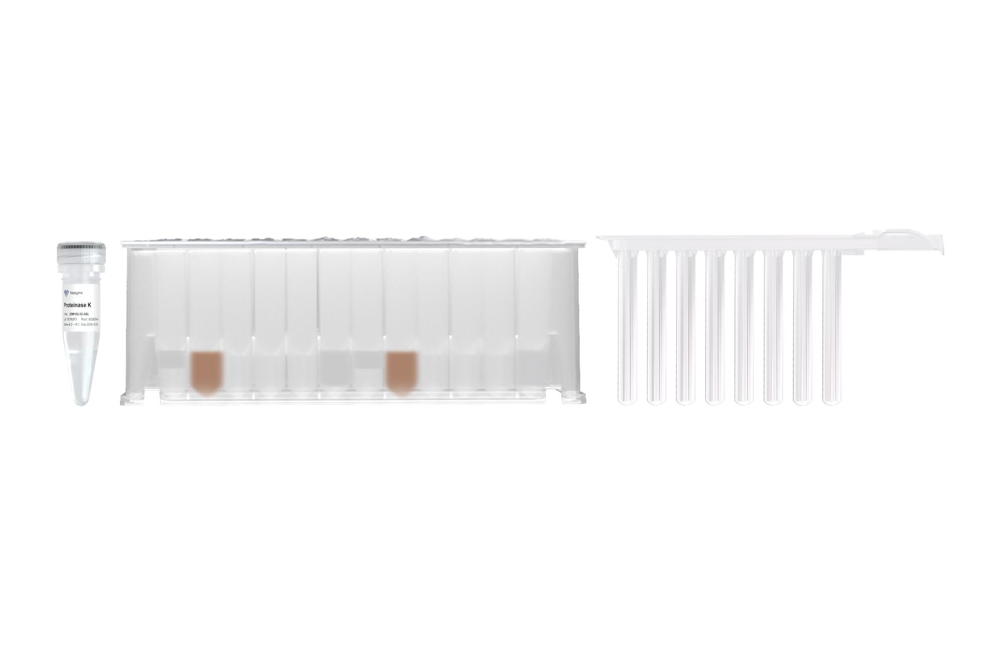 Magnetic Blood DNA Extraction Kit (Prepackaged)