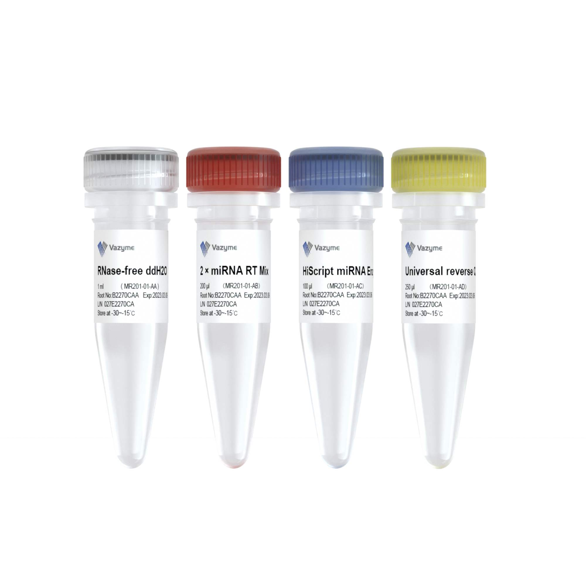 miRNA 1st Strand cDNA Synthesis Kit (by tailing A)