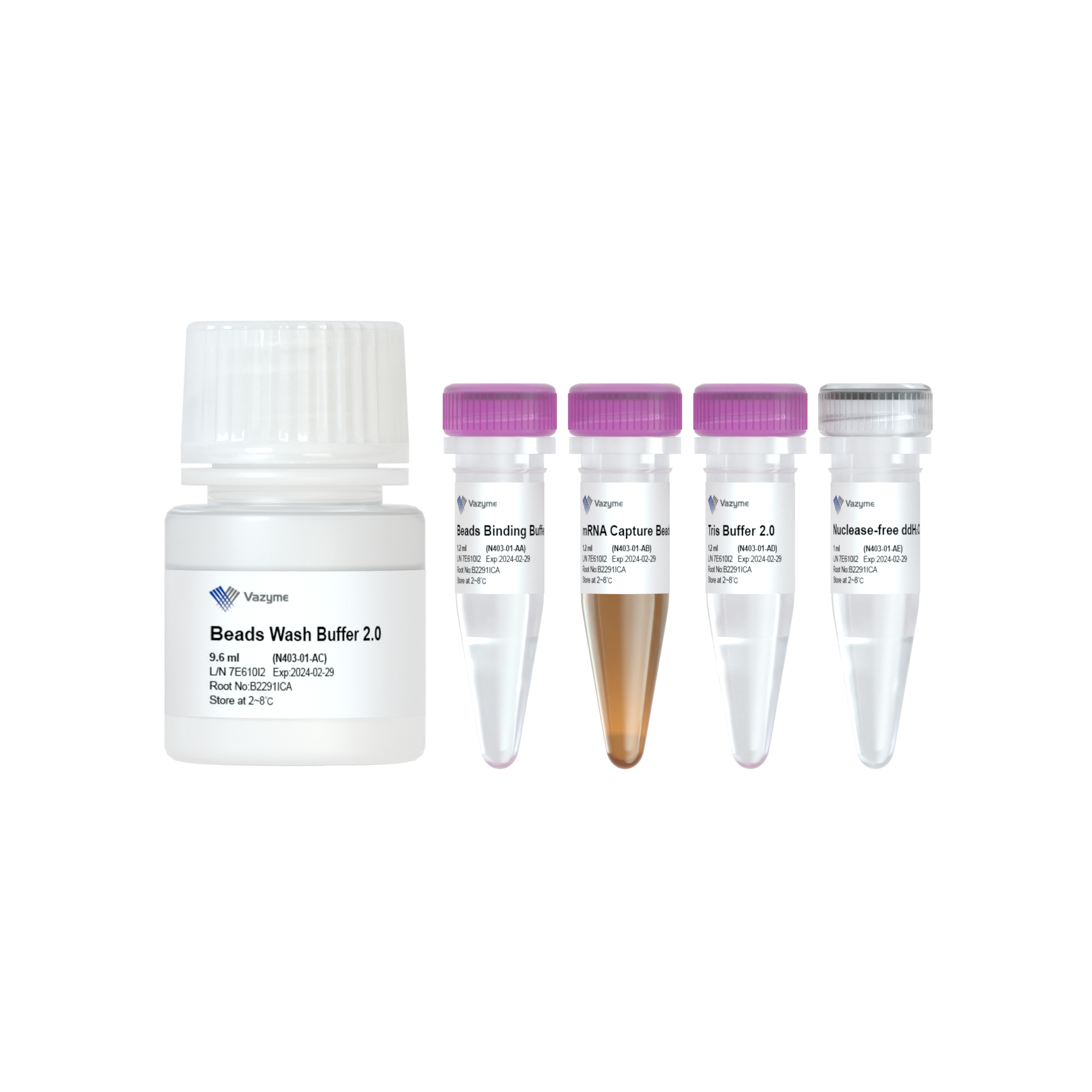 VAHTS mRNA Capture Beads 2.0