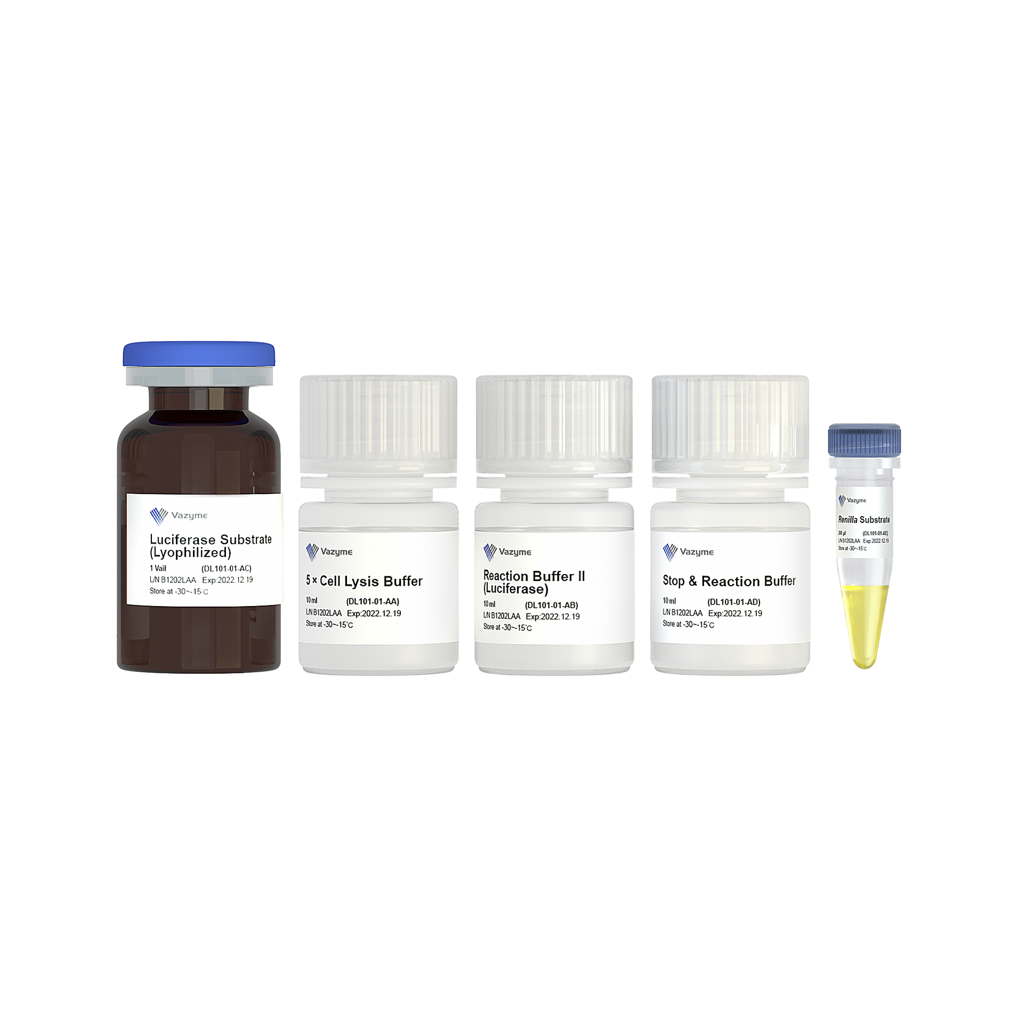 Dual Luciferase Reporter Assay Kit