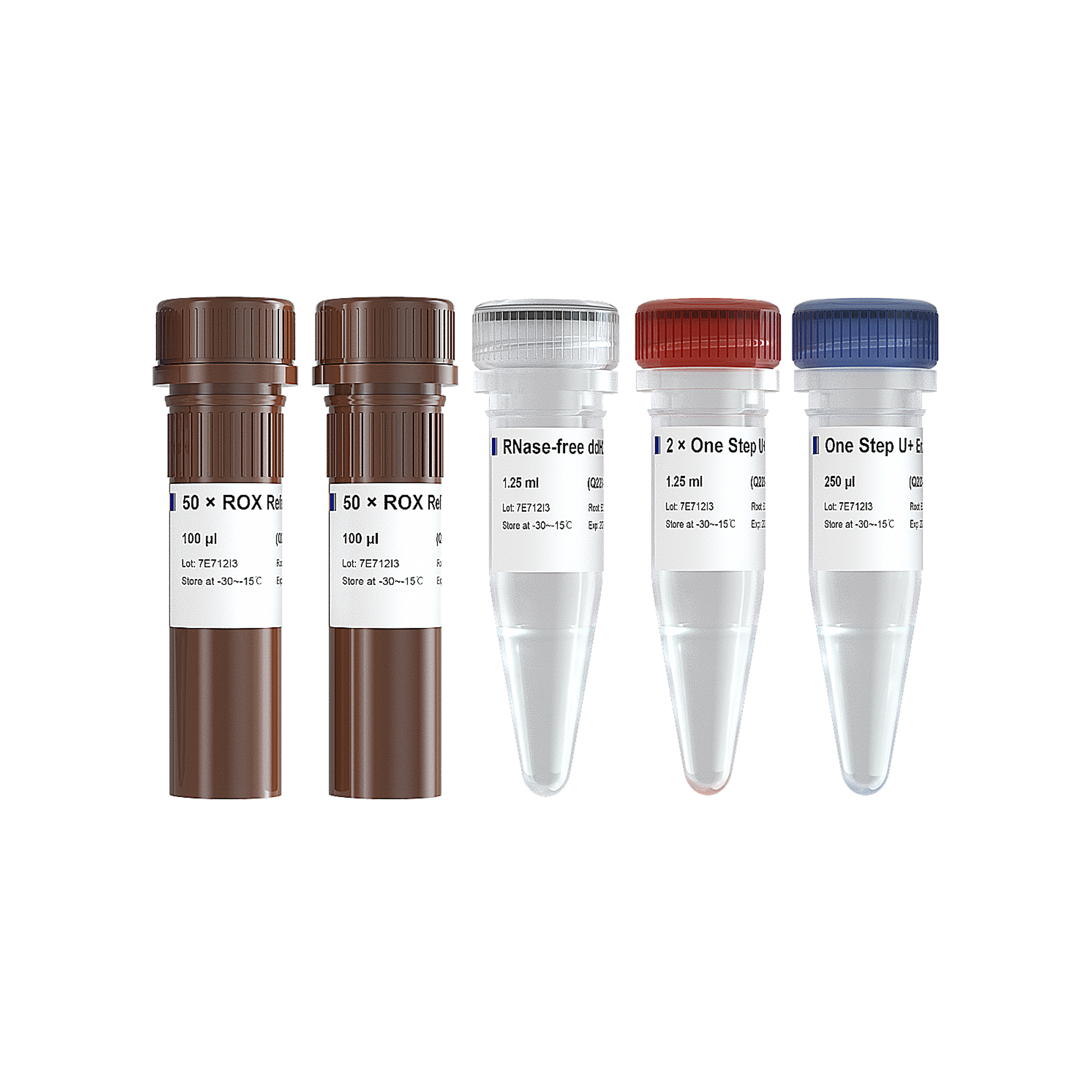 HiScript II U+ One Step qRT-PCR Probe Kit