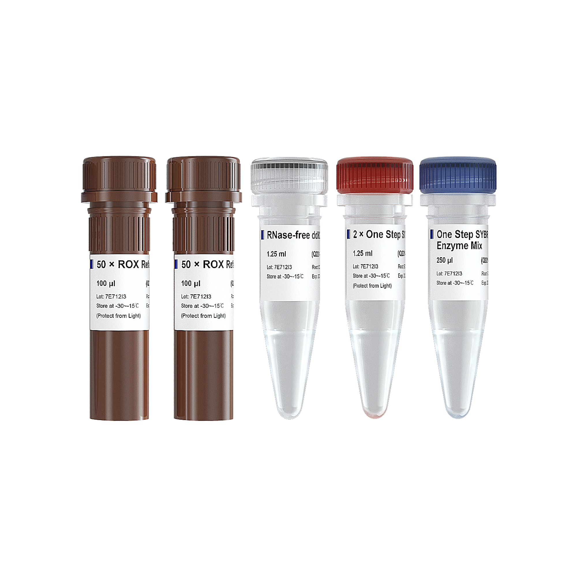 HiScript II One Step qRT-PCR SYBR Green Kit