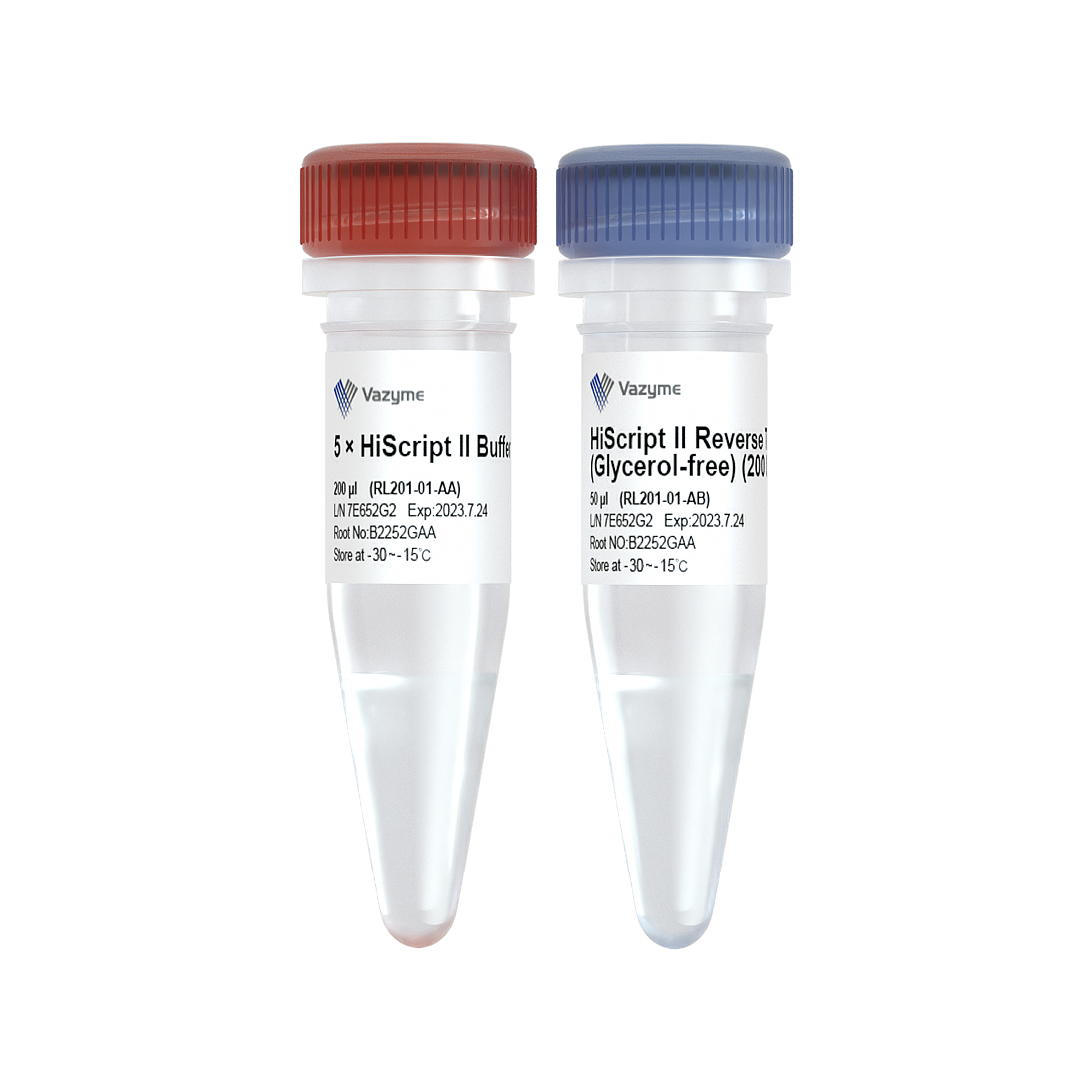 HiScript II Reverse Transcriptase (Glycerol-free)