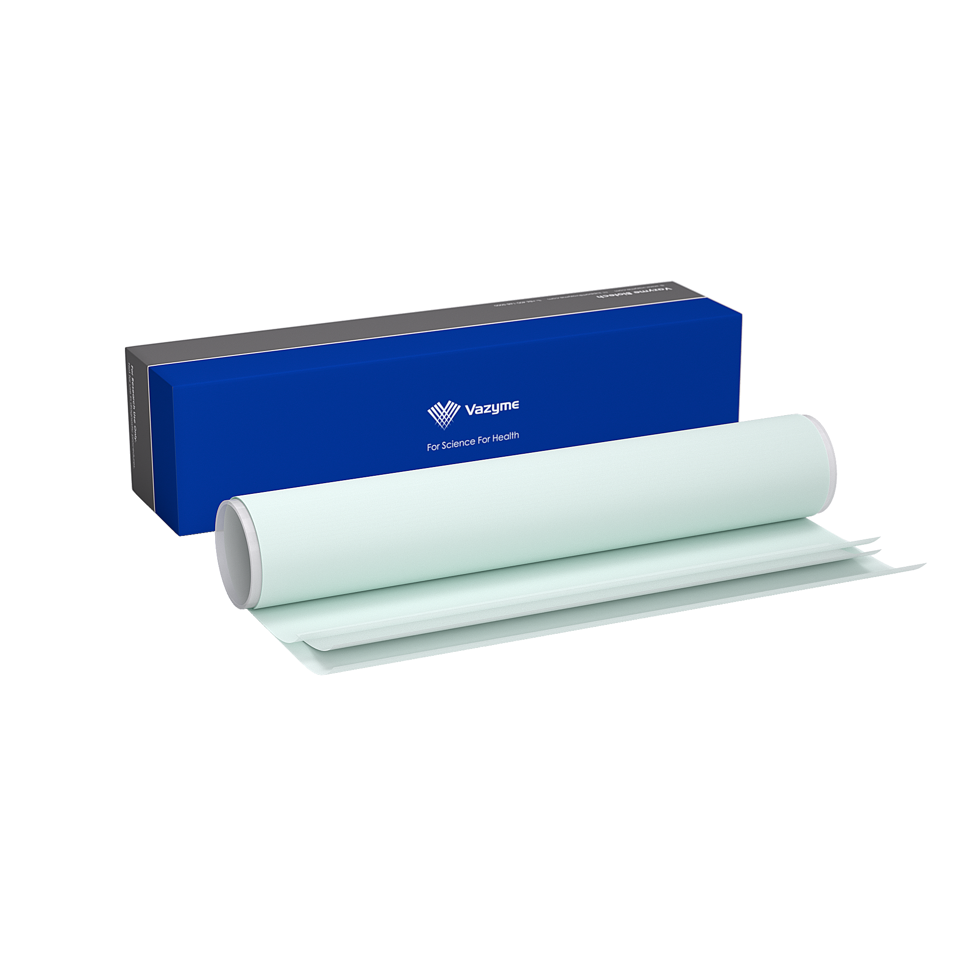 PVDF Membrane (0.22 渭m)