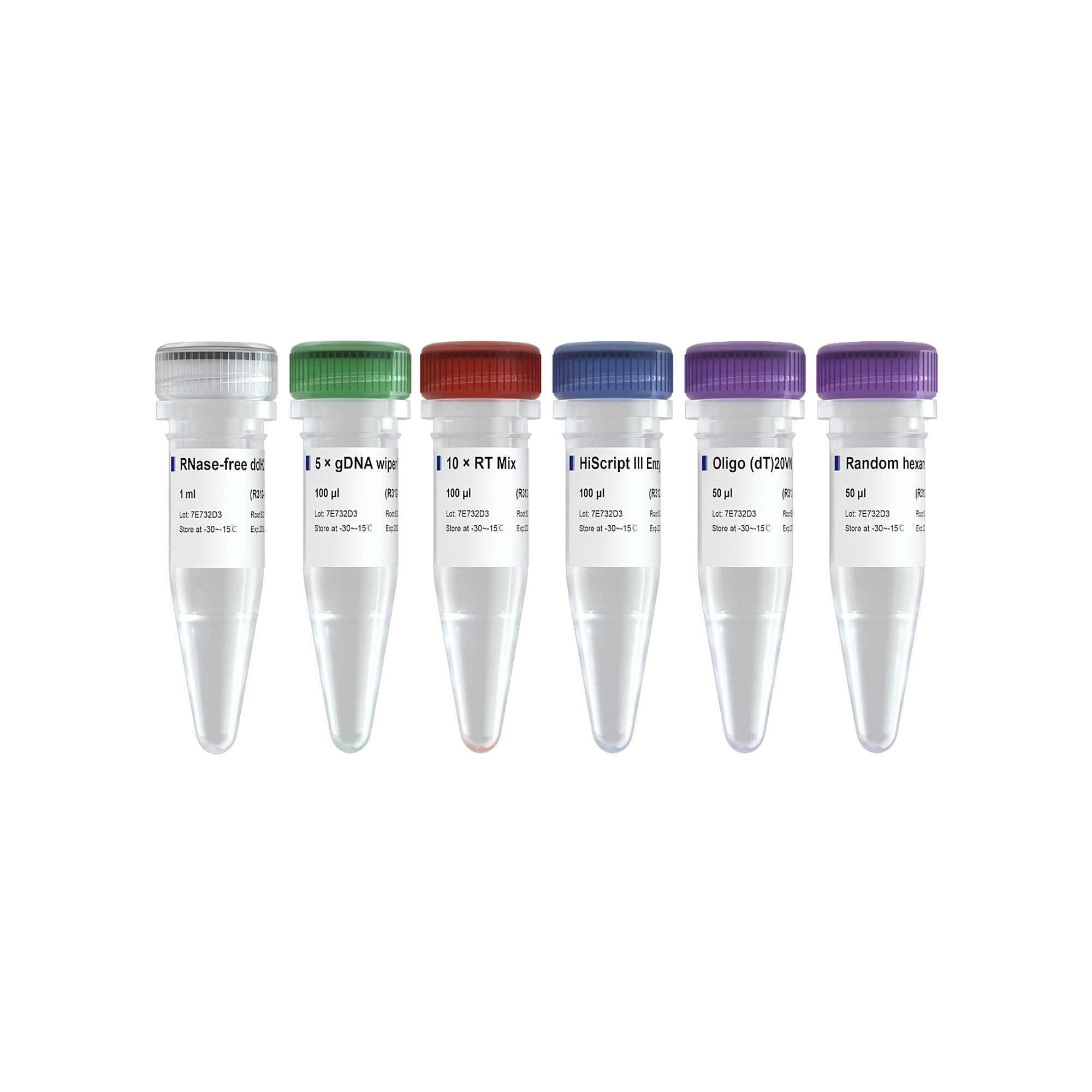 HiScript III 1st Strand cDNA Synthesis Kit (+gDNA wiper)