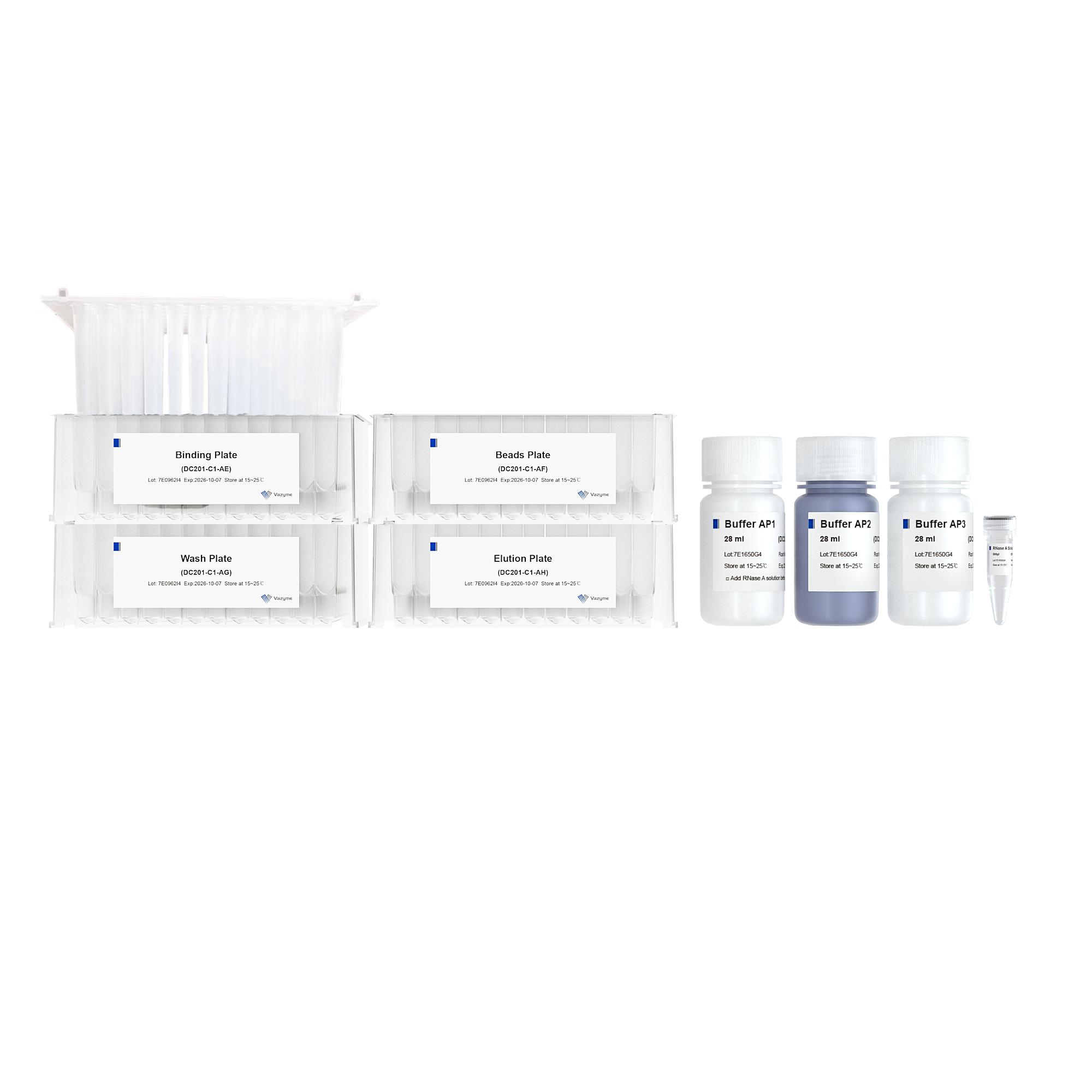 VAMNE Magnetic EndoFree Plasmid Mini Kit