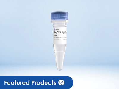 mRNA Production-related Enzymes