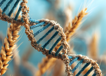 Molecular Breeding Solution