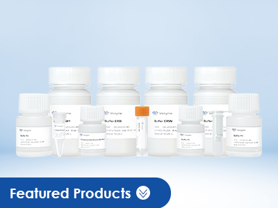 EndoFree Plasmid Extraction