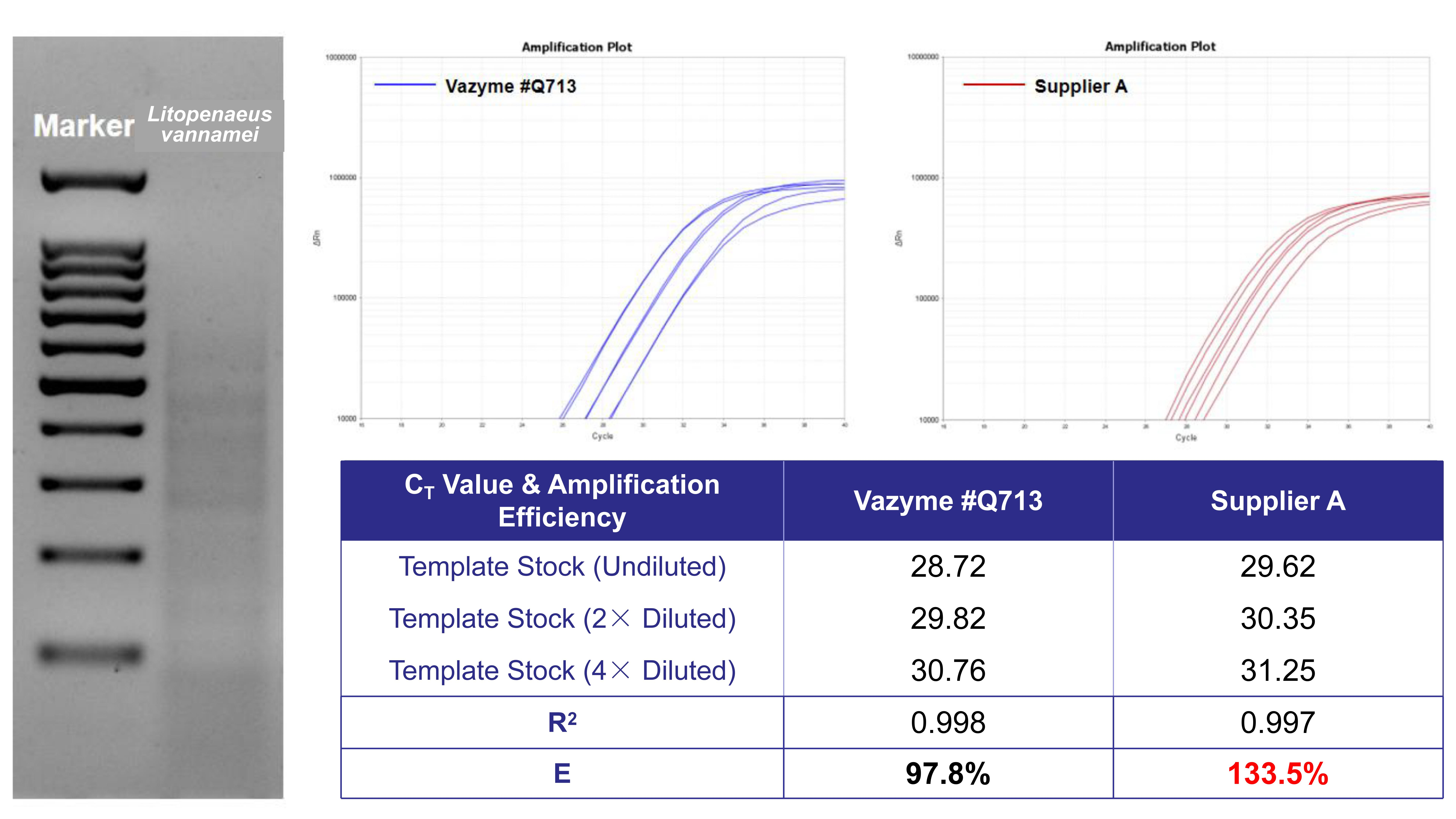 SupRealQ Ultra Hunter SYBR qPCR Master Mix (U+)