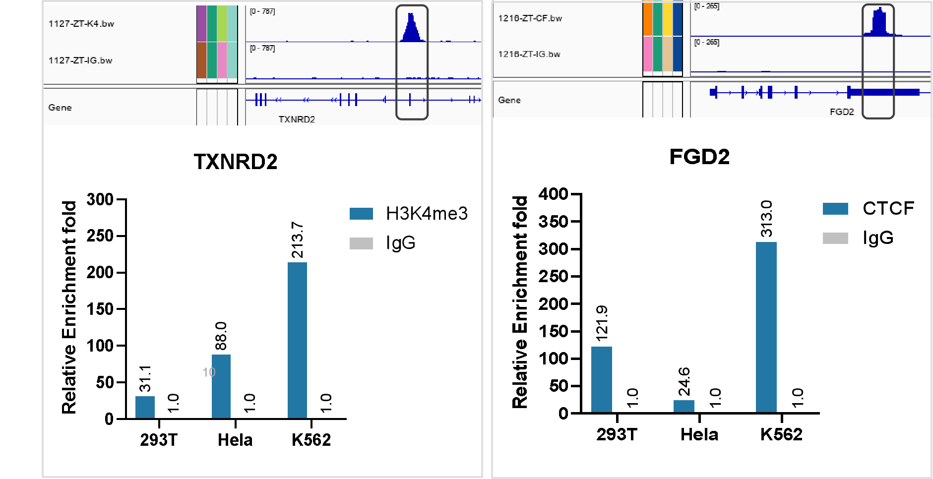 Hyperactive pA/G-MNase CUT&RUN Assay Kit for PCR/qPCR