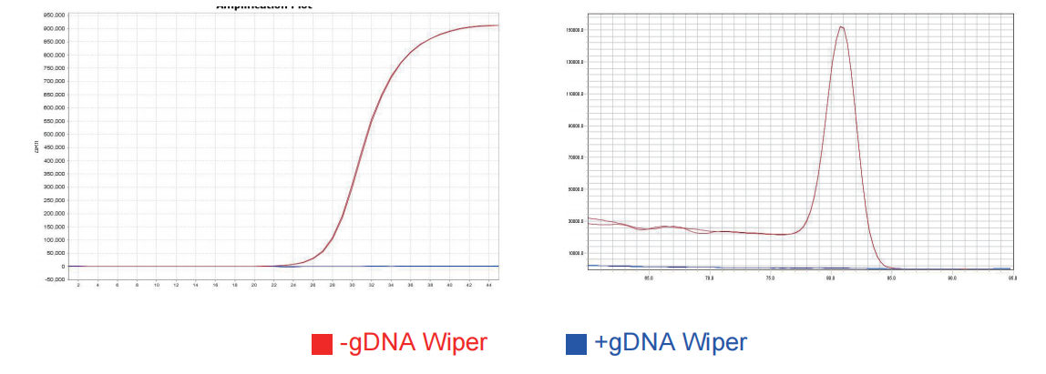 UniPeak U+ One Step RT-qPCR SYBR Green Kit