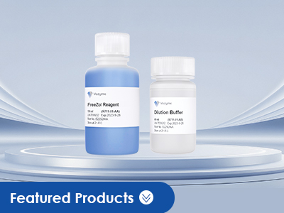 RNA Extraction