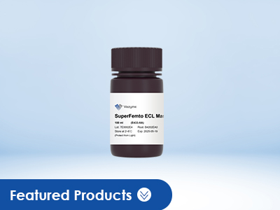 SuperFemto All-in-One