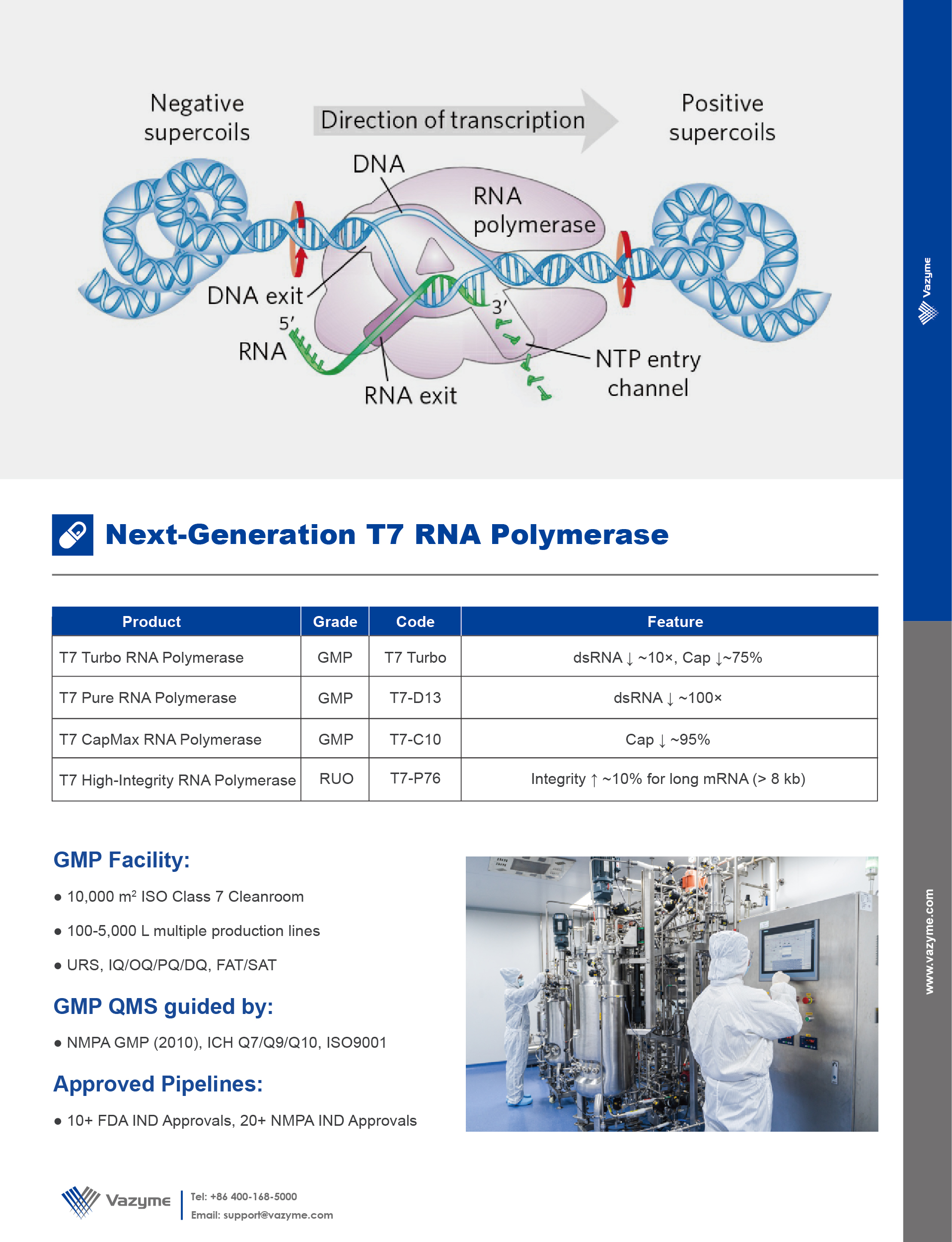 Flyer_T7 RNAP Variants.pdf