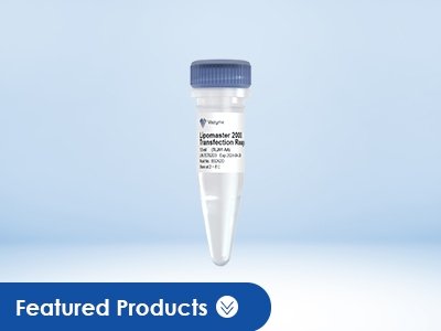 Versatile Transfection
