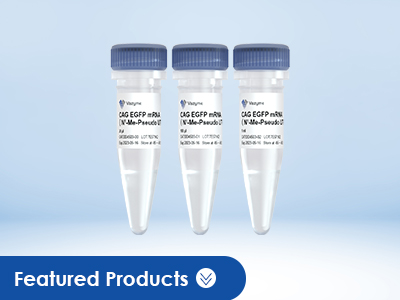 Stock mRNA