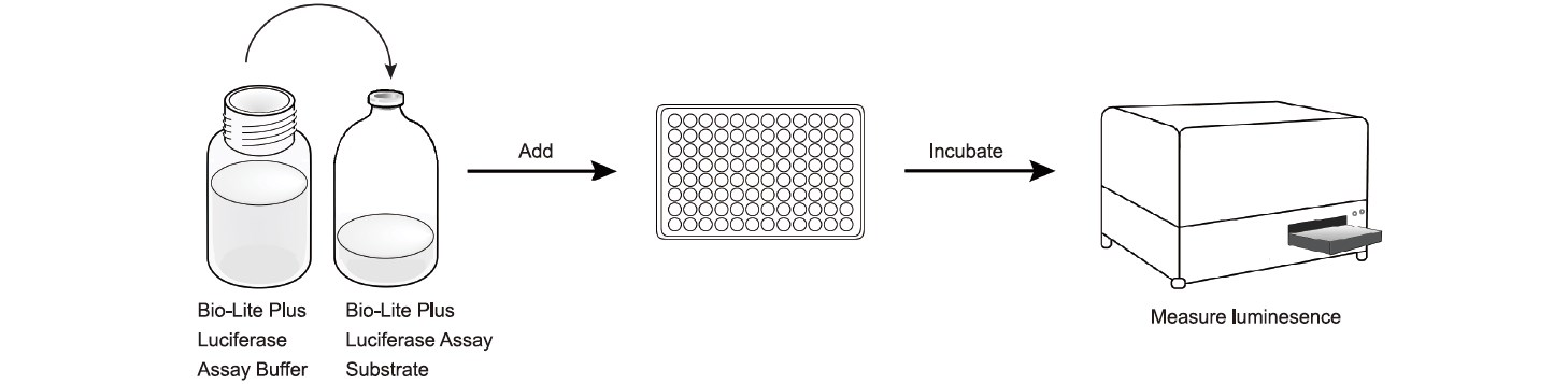 Bio-Lite Plus Luciferase Assay System