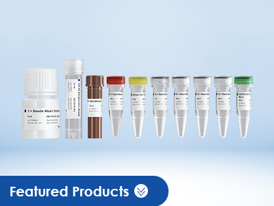 Hybridization Capture