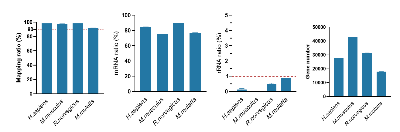 Ribo-clean rRNA Depletion Kit Mega (Prevalent Species)