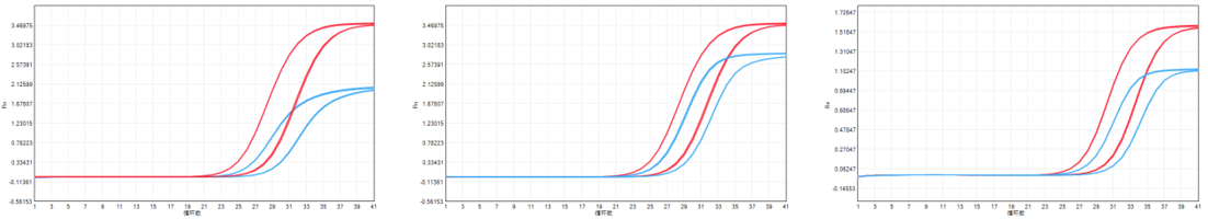 AccurSTART II U+ One Step RT-qPCR Super Premix (Fast & One Tube)
