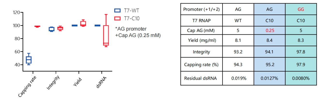 Redefining the mRNA Supply Chain: Innovation Beyond Intellectual property Barriers