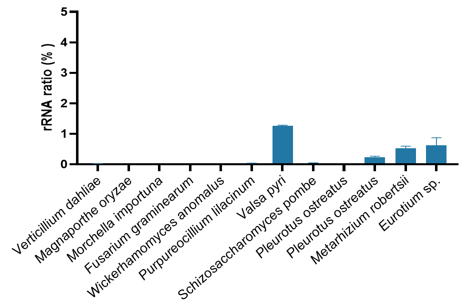 Ribo-clean rRNA Depletion Kit Mega (Fungi) 