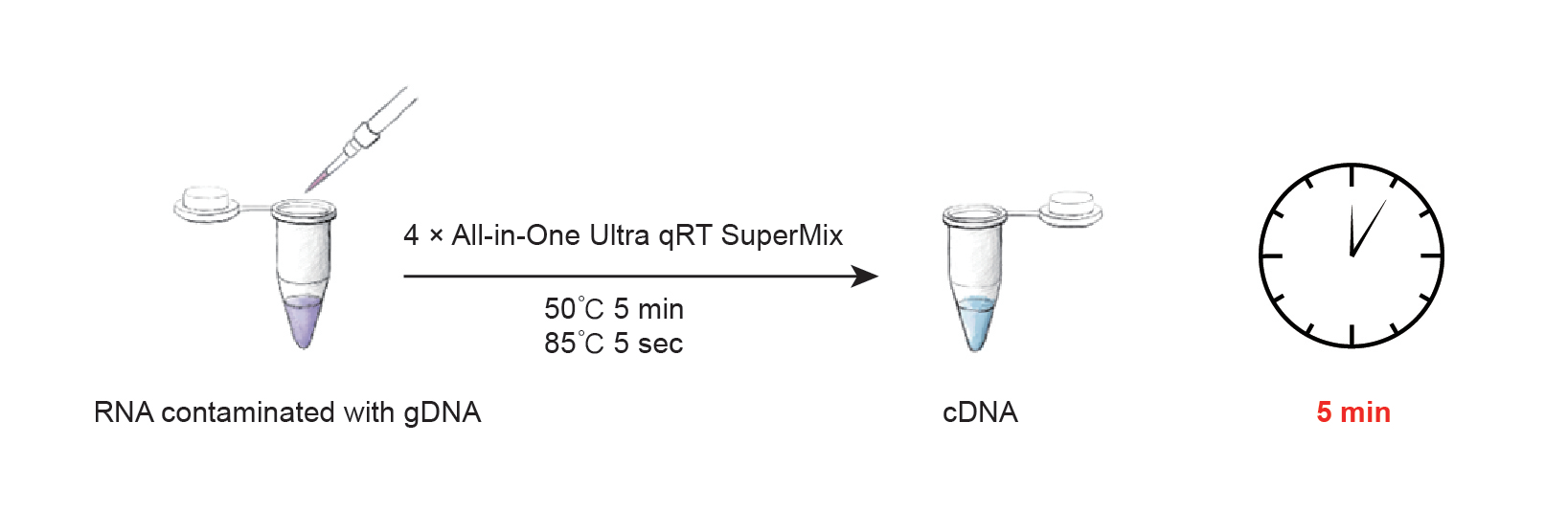 HiScript IV All-in-One Ultra RT SuperMix for qPCR
