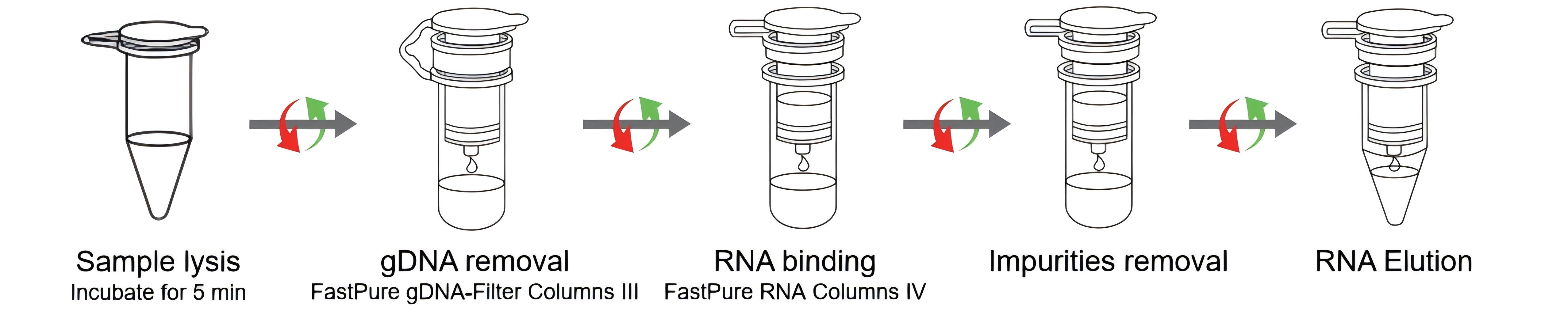 FastPure Cell/Tissue Total RNA Isolation Kit V3