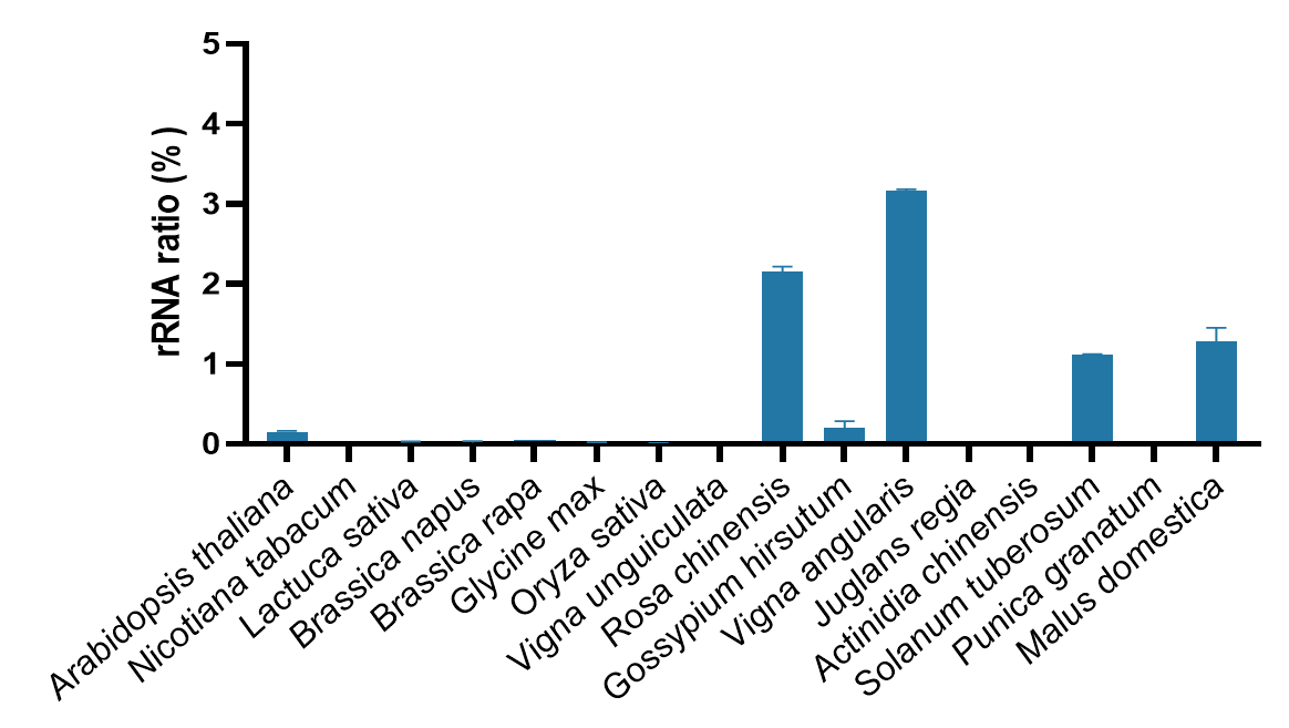 Ribo-clean rRNA Depletion Kit Mega (Plant)