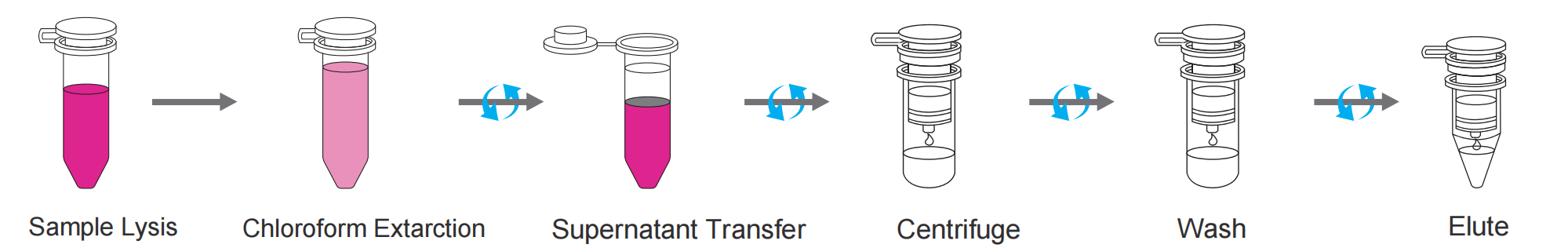 VeZol-Pure Total RNA lsolation Kit
